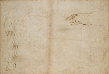 Verso: Studien eines Männerbeins, ca. 1490-1560