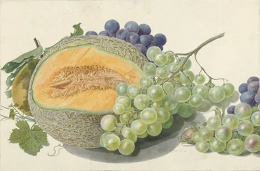 Eine Melone, Trauben, ein Pfirsich und Haselnüsse