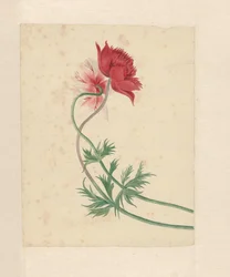 Zwei Zweige mit jeweils einer Blume