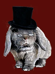 Humbug-Hase auf Rotoxid, 2020