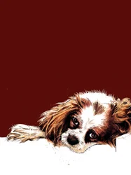Der Spaniel Meg auf Oxidrot, 2020