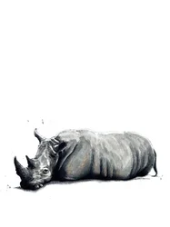 Das Nashorn auf Weiß