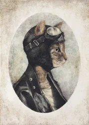Stilvolle Katze mit Lederjacke