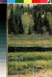 Landschaft