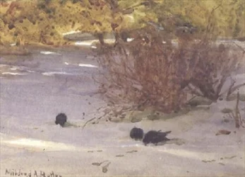 Schatten auf dem Schnee