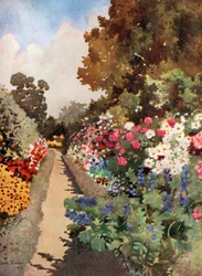 Staudenbeet, Villa Hvidore