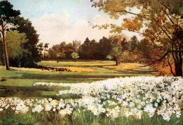 Die Kirche, Sandringham