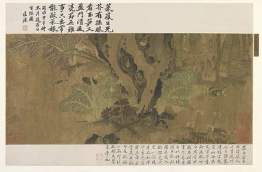 Bambus, Frosch und Insekten