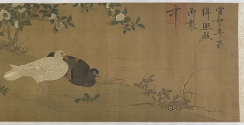 Kamelien, Tauben und Singvögel