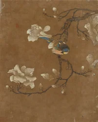 Zehn Bilder von Vögeln und Blumen