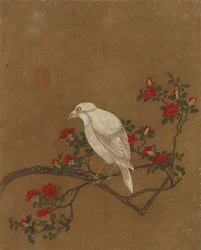 Zehn Bilder von Vögeln und Blumen