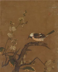 Zehn Bilder von Vögeln und Blumen