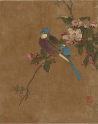 Zehn Bilder von Vögeln und Blumen