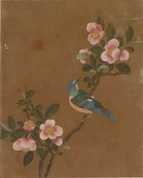 Zehn Bilder von Vögeln und Blumen