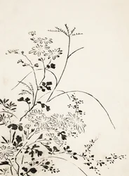 Herbstblumen und Gräser (1762)
