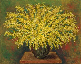 Mimosen