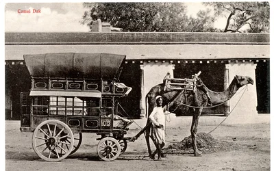 Kamel-Dak, ca. 1911-12 (Sepia-Foto)