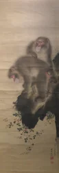 Affen spielen mit einer Krabbe