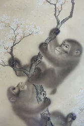 Affen in einem blühenden Kirschbaum, 1 von 2, Mori Sosen, Japan, Edo-Periode, frühes 19. Jahrhundert, Tinte und Farbe auf Seide - Arthur M. Sackler Museum, Harvard University