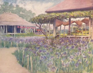 „Ein Irisgarten“, 1903