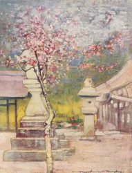 Pfirsichblüte, ca. 1887, 1901