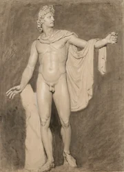 Abguss des Apollo Belvedere