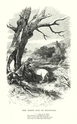 William Wordsworth: The White Doe of Rylstone (Gravur)