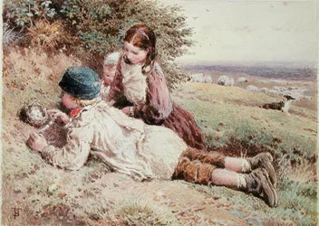 Vogeleier sammeln
