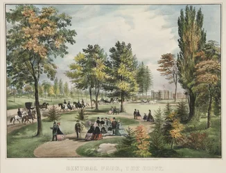 Central Park - Die Fahrt