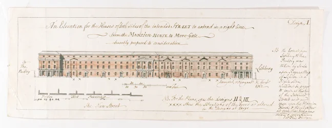 Frosch auf einem Seerosenblatt