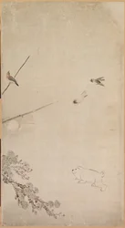 Welpen, Spatzen und Chrysanthemen