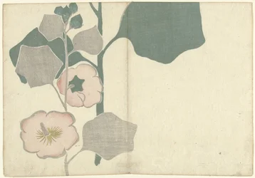 Stockrose