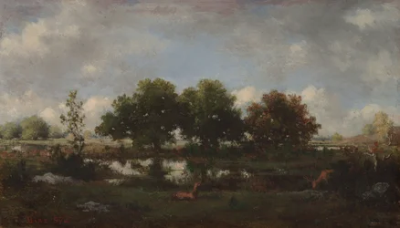 Waldlandschaft mit Hirschen