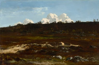 Heide. Abfallendes Gelände bei Apremont mit Sandfurche