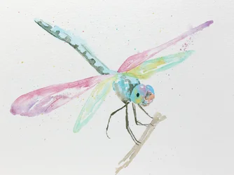Libellen auf einem Ast in Pastellfarben