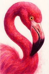 Eleganter rosa Flamingo
