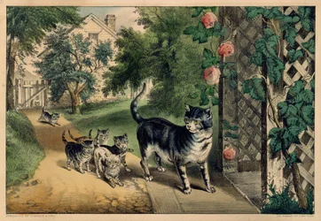 Die Rückkehr der Katze, 1874-78.