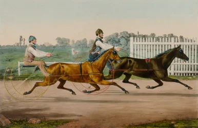 Flora Temple und Highland Maid