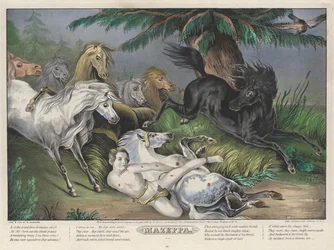 Mazeppa: Platte 3 von 4 (Umgeben von Wildpferden)