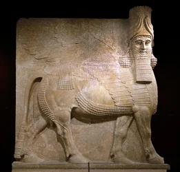 Geflügelter Stier aus Hof VIII im Palast von König Sargon II., Khorsabad, 721-705 v. Chr. (Gips?)