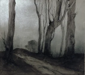 Schattierungen der Nacht