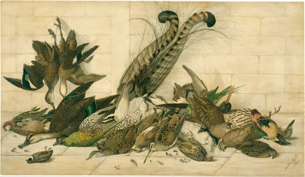 ohne Titel (Australische Wildvögel)