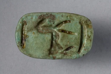 Skarabäus-Siegel, 18.-19. Dynastie, 1540-1186 v. Chr. (Faience)