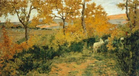 Goldener Wald in Montemiccioli