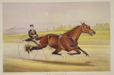 Der König des Rasens, 