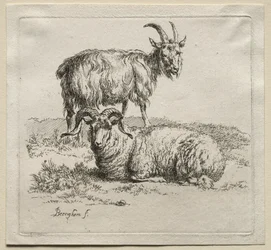 Animalia: Widder und Ziege