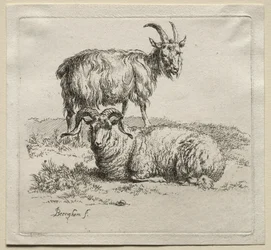 Widder und Ziege