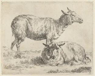 Stehendes und liegendes Schaf (Serientitel: Schafe)