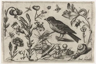 Blumen, eine Schnecke und ein Vogel Vögel, Blumen, Insekten etc. (Serientitel)