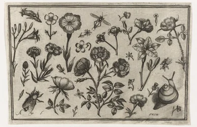 Blumen, eine Fliege und eine Schnecke
